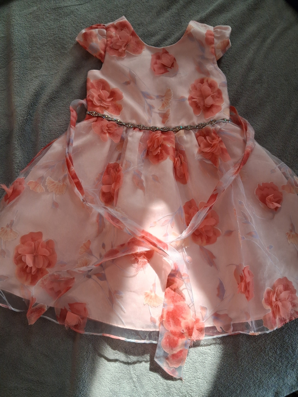 Rare Editions Coral Floral Organza Party Dress with Beaded Waist